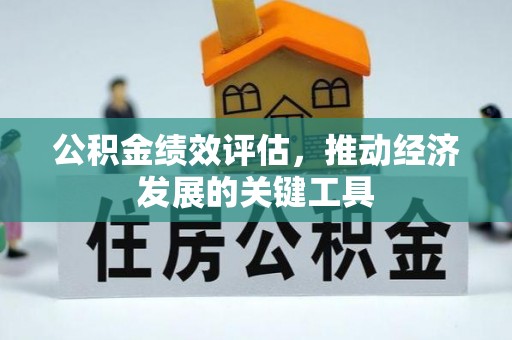 铜鼓公积金绩效评估，推动经济发展的关键工具
