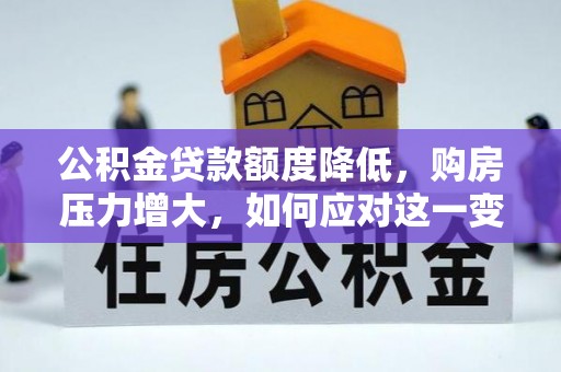 铜鼓公积金贷款额度降低，购房压力增大，如何应对这一变化？