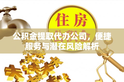铜鼓公积金提取代办公司，便捷服务与潜在风险解析