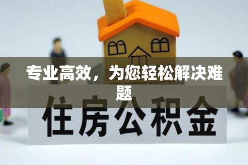 铜鼓专业高效，为您轻松解决难题