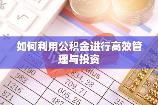 铜鼓如何利用公积金进行高效管理与投资