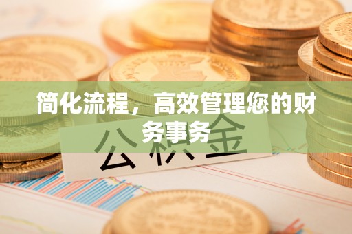铜鼓简化流程，高效管理您的财务事务