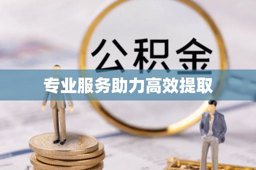 铜鼓专业服务助力高效提取