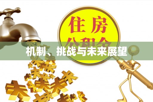 铜鼓机制、挑战与未来展望
