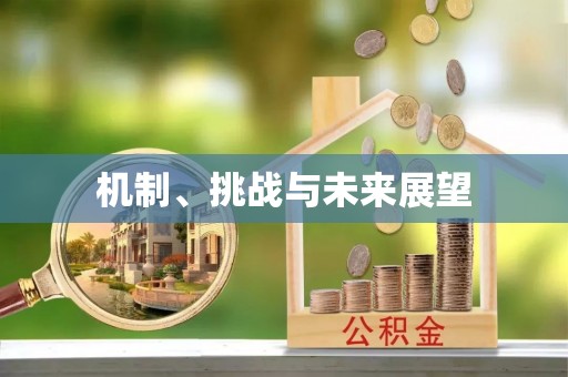 铜鼓机制、挑战与未来展望